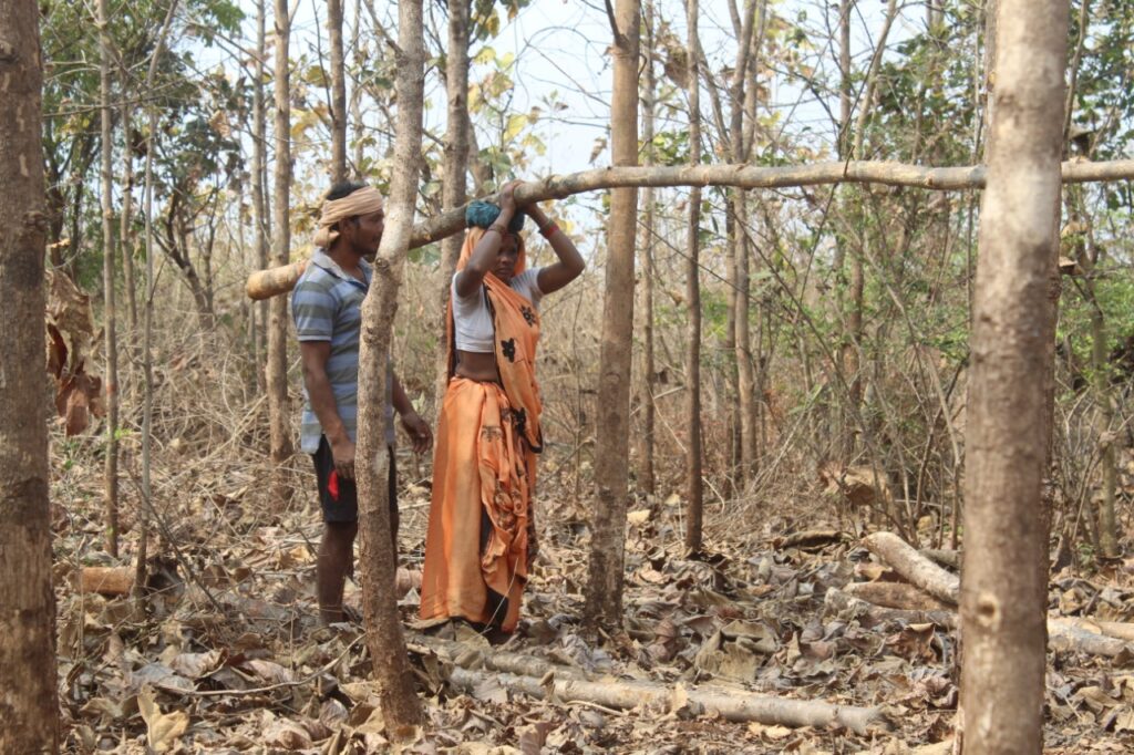 आत्मनिर्भर होगें जिले के 4300 से अधिक परिवार, पहली बार मिला वनोपज का मालिकाना हक