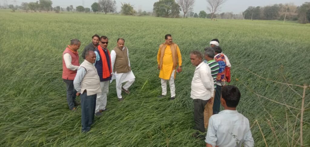क्षतिग्रस्त फसलों और क्षेत्रों की जानकारी 72 घंटों के भीतर प्रदेश शासन तक पहुंचे ताकि  फसल बीमा की राशि भी किसानों को मिल सके-आलोक दुबे