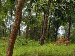pench21sep25